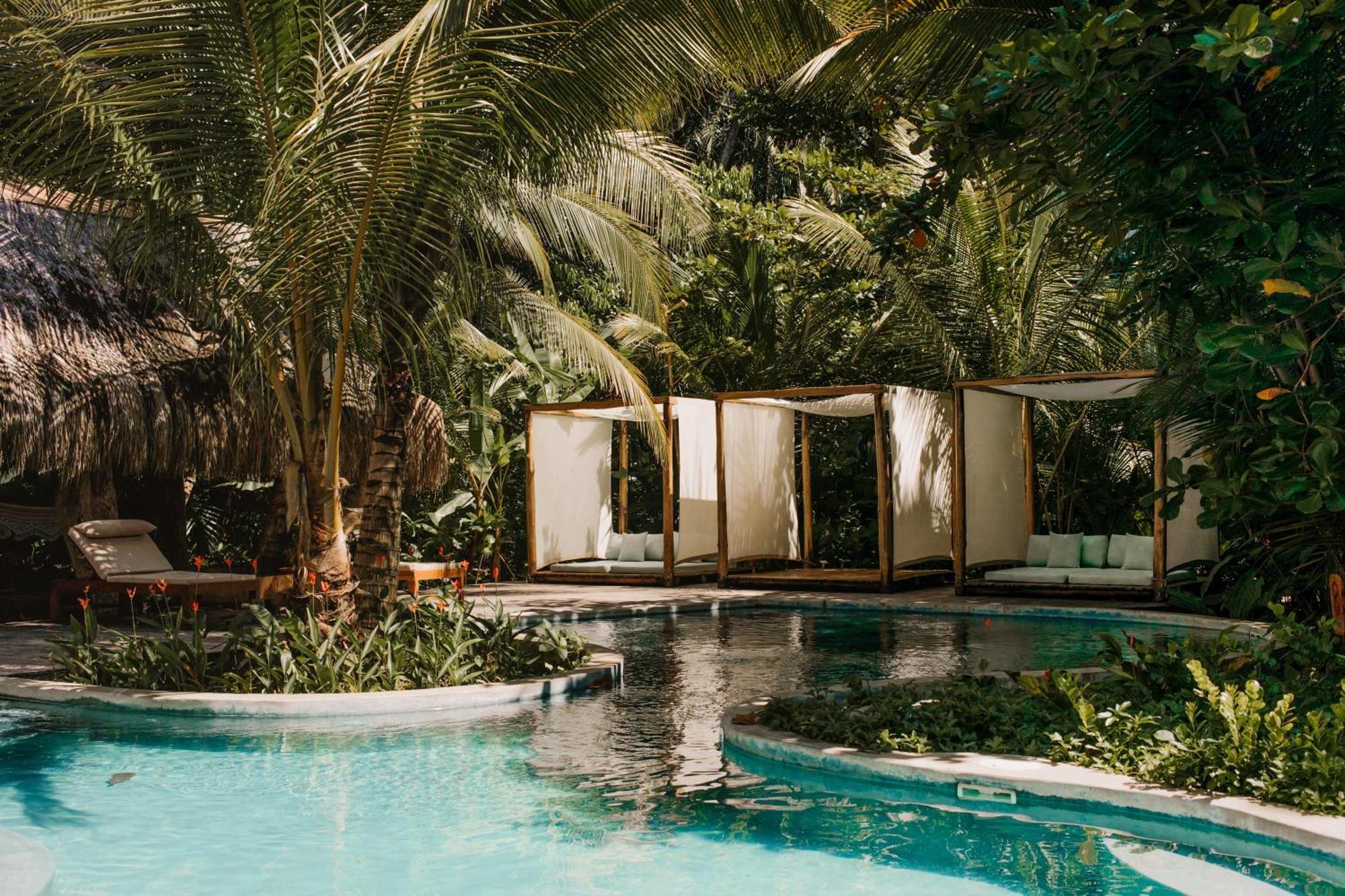 The Resort At Isla Palenque Member Of The Cayuga Collection Boca Chica Bagian luar foto