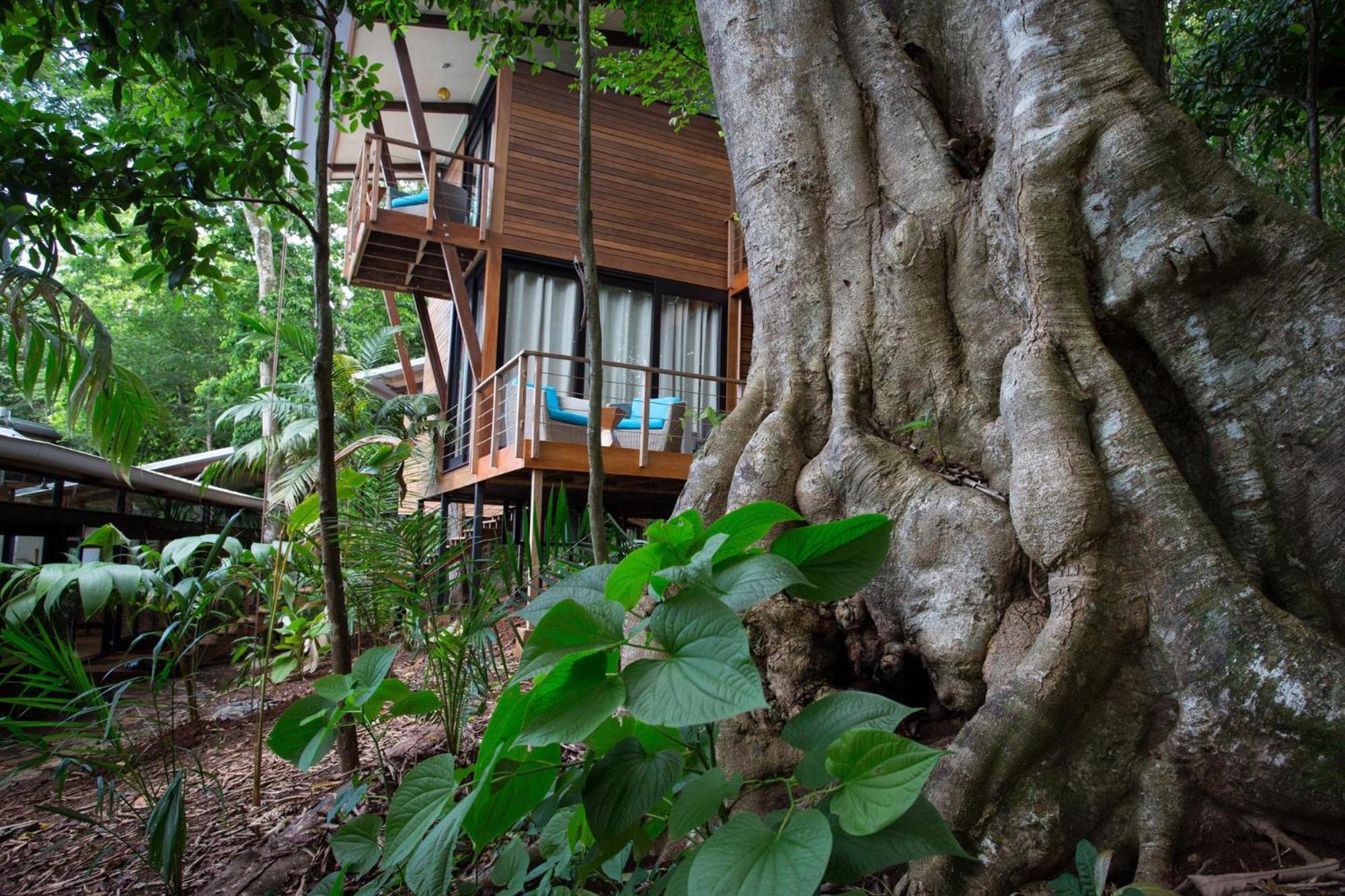 The Resort At Isla Palenque Member Of The Cayuga Collection Boca Chica Bagian luar foto